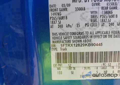 2009 Ford F-150 Stx/Xl/Xlt z USA, uszkodzony, nr VIN 1FTRX12829KB90445